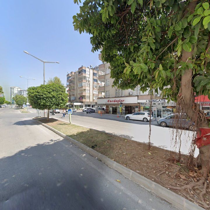 Fotoğraf 7