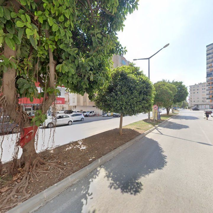 Fotoğraf 8