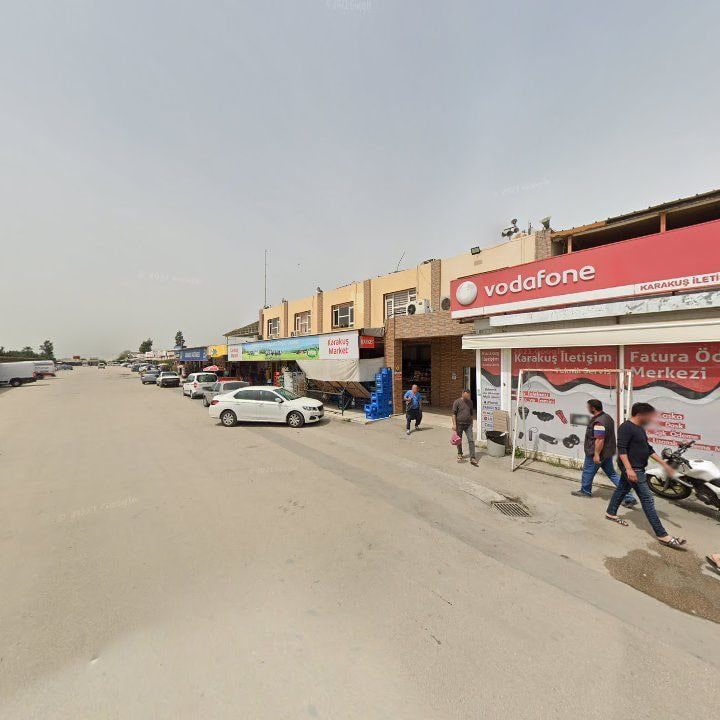 Fotoğraf 12