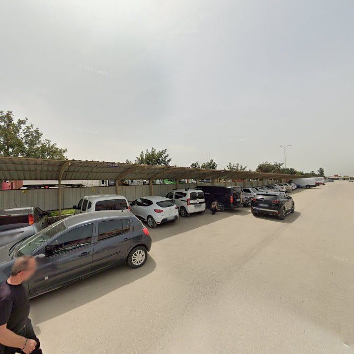 Fotoğraf 11