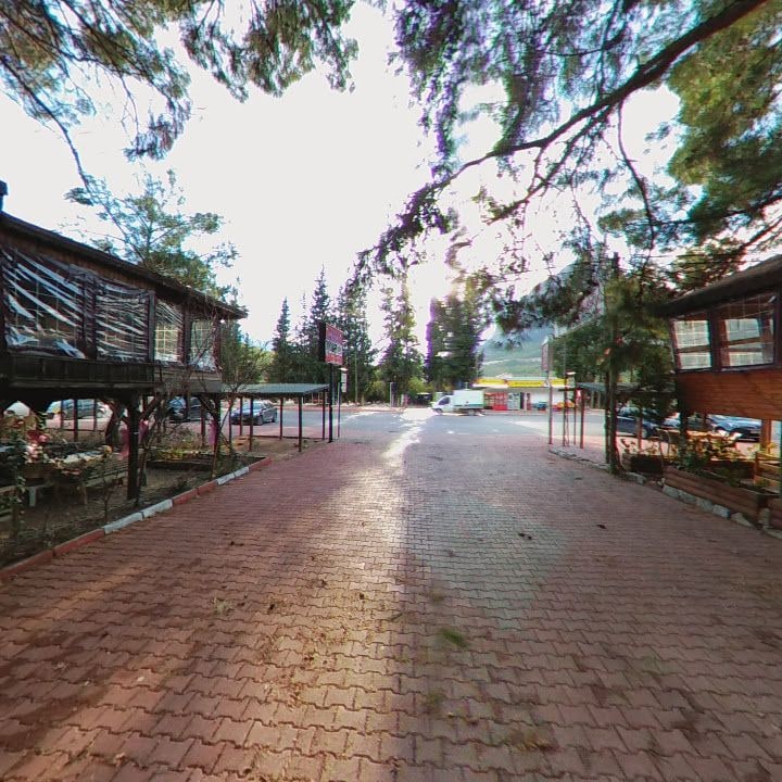 Fotoğraf 8