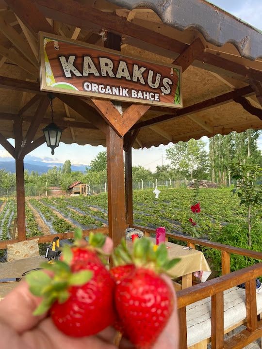 Karakuş Meyve Bahçesi