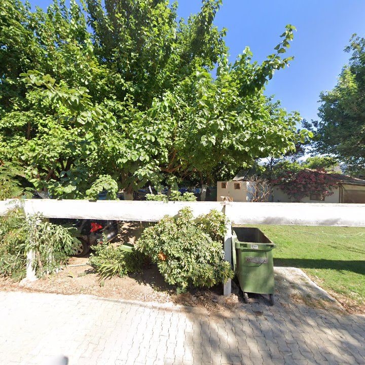 Fotoğraf 12
