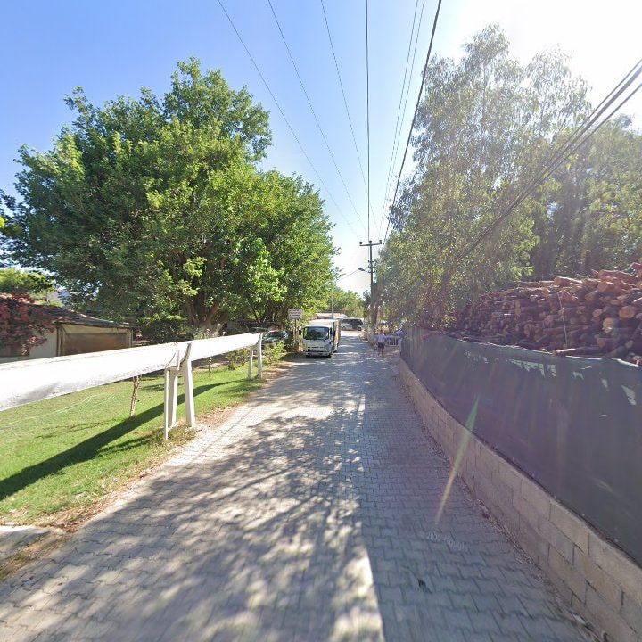 Fotoğraf 13
