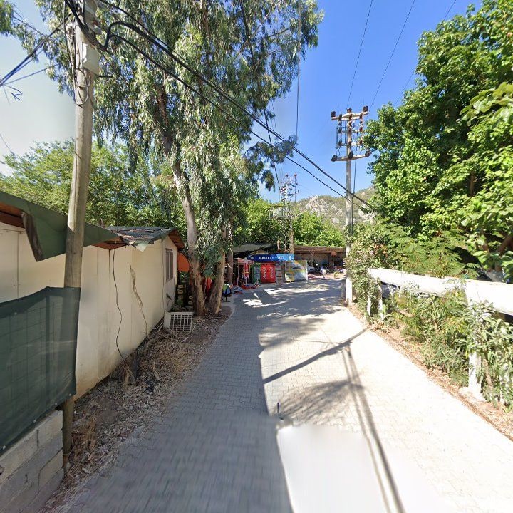 Fotoğraf 11