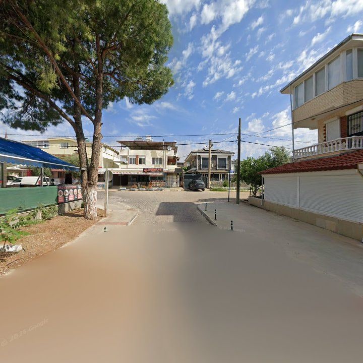 Fotoğraf 8