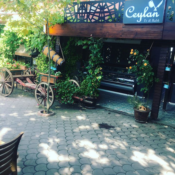 Karasu balık restoran (Ceylan Et & Balık)