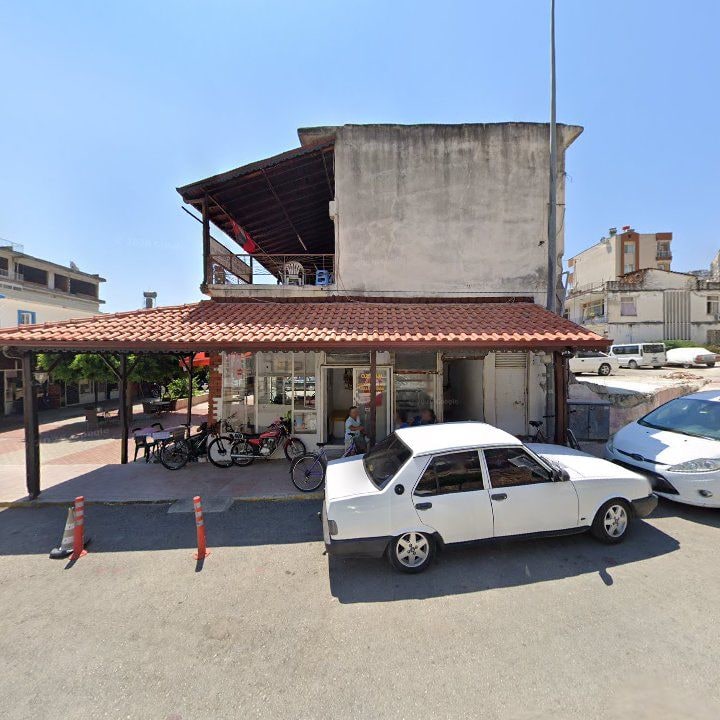 Fotoğraf 7