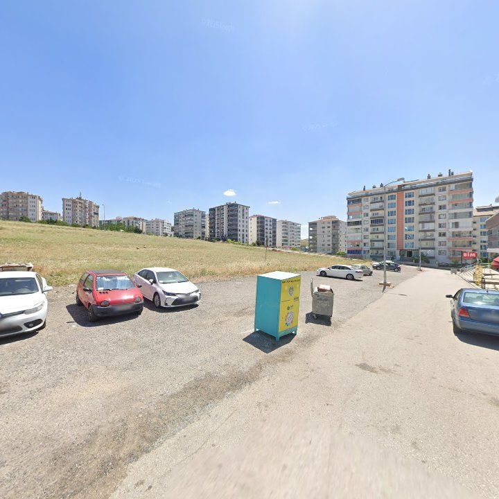 Fotoğraf 8