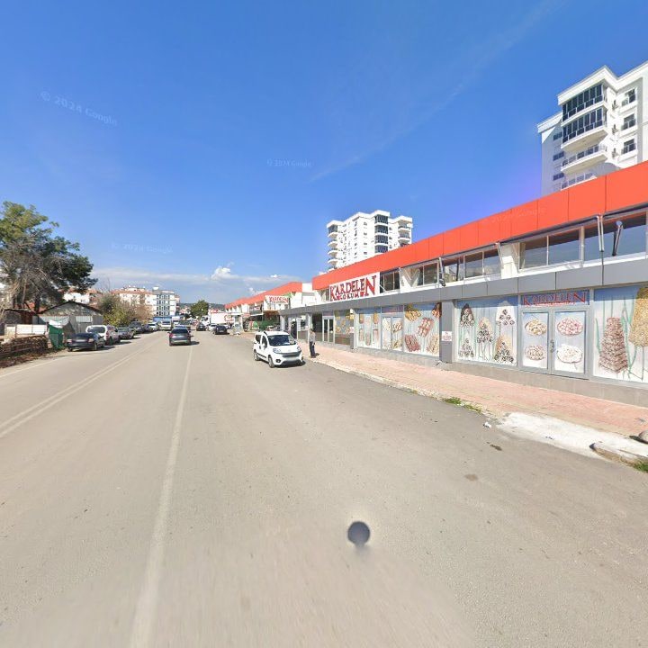 Fotoğraf 4