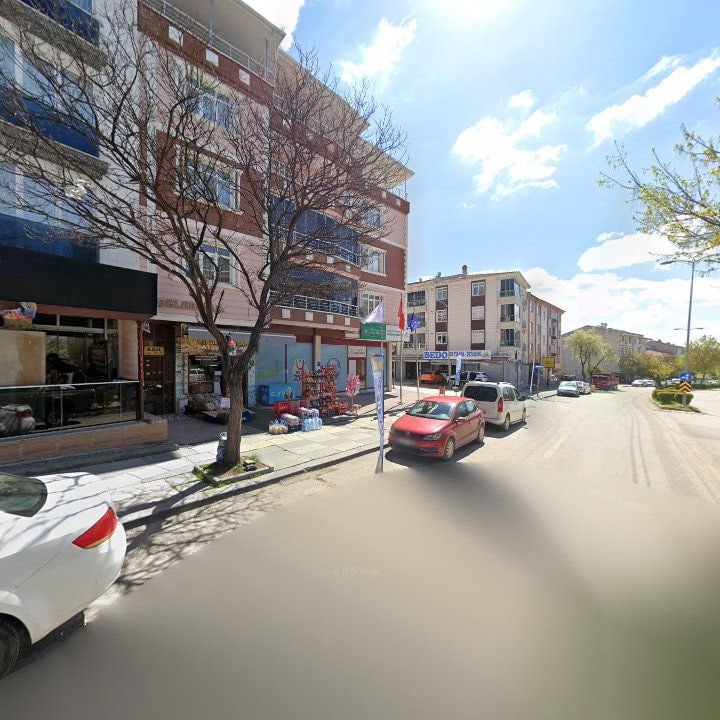 Fotoğraf 8