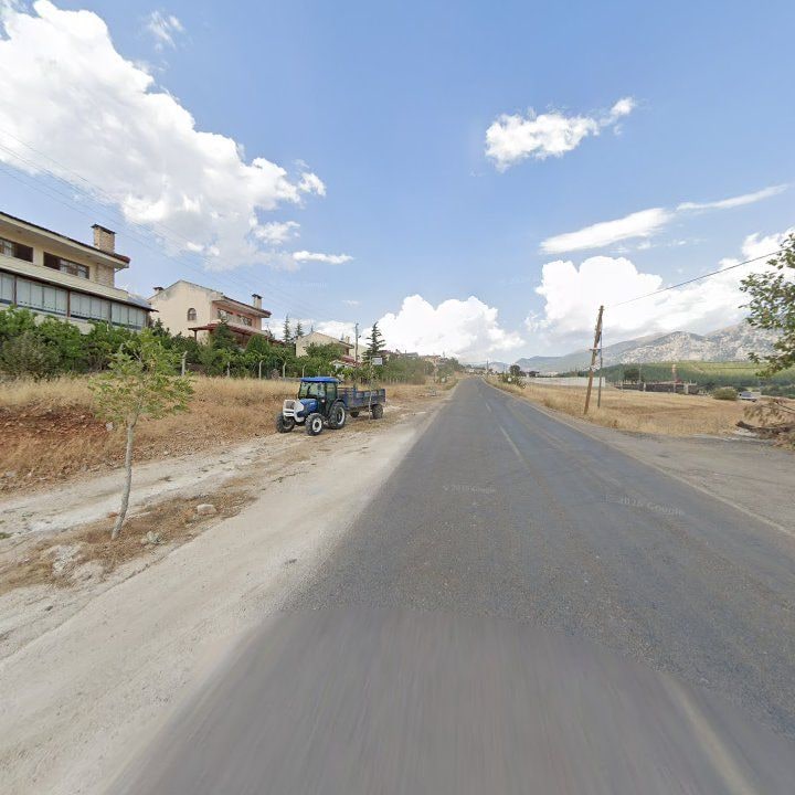 Fotoğraf 7