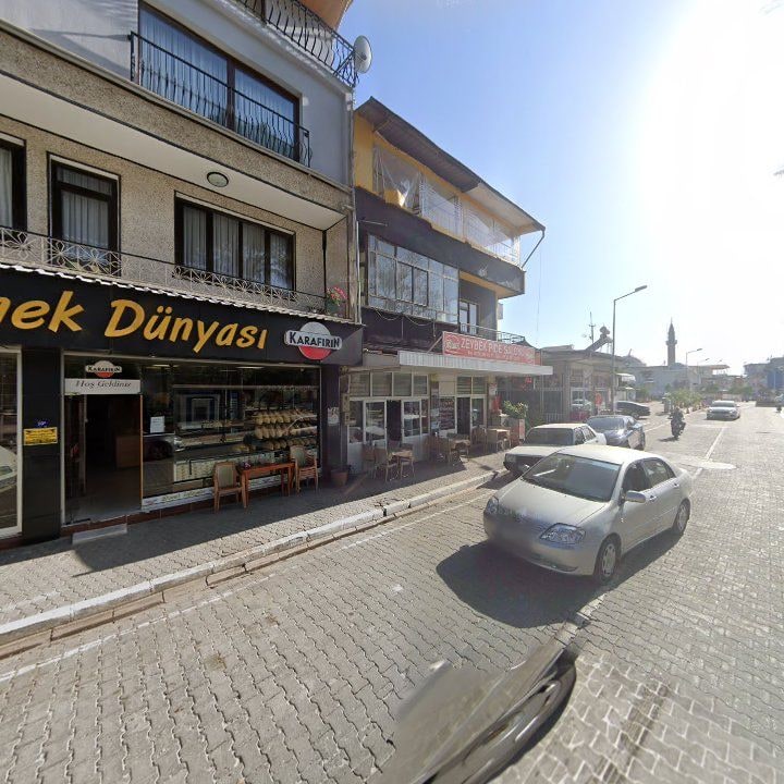 Fotoğraf 7