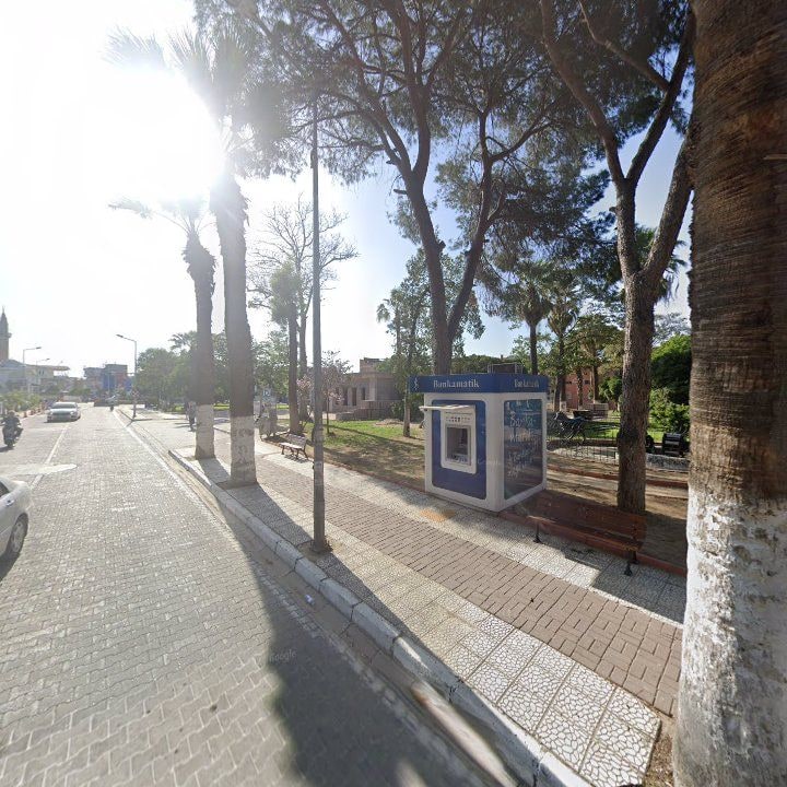 Fotoğraf 8
