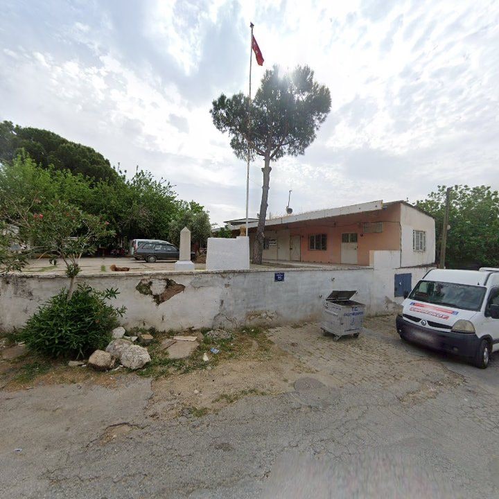 Fotoğraf 7