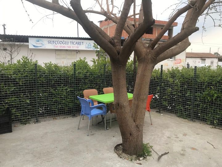 Fotoğraf 3