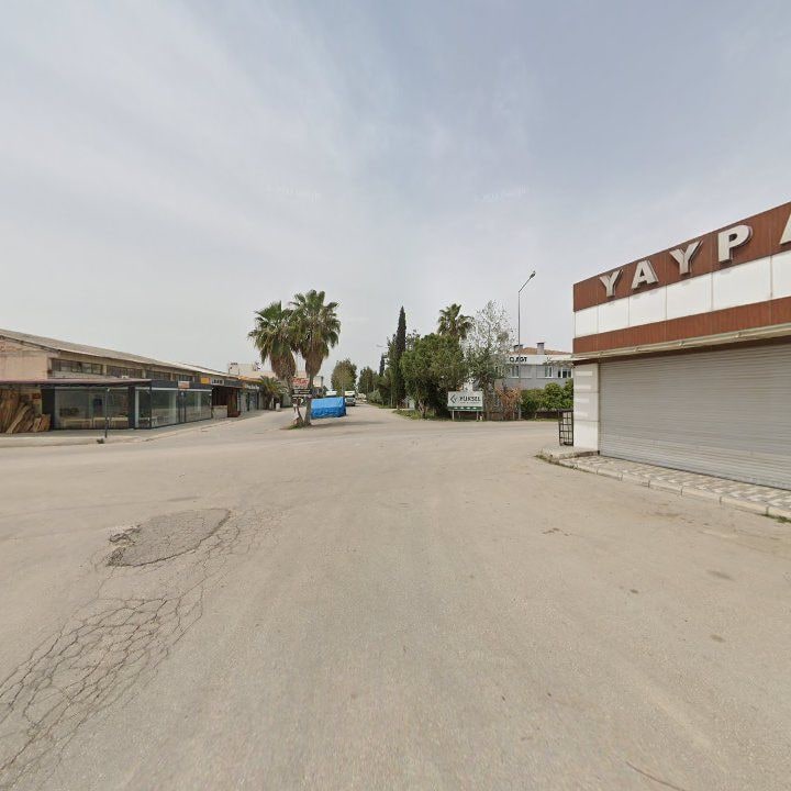 Fotoğraf 10