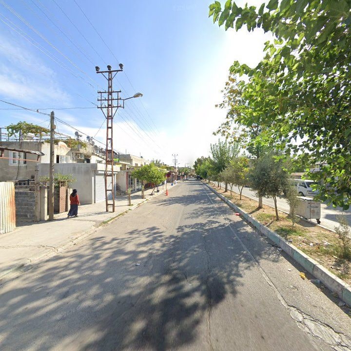 Fotoğraf 5