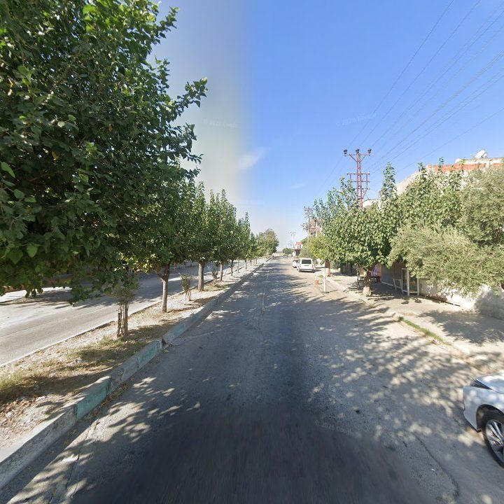 Fotoğraf 7