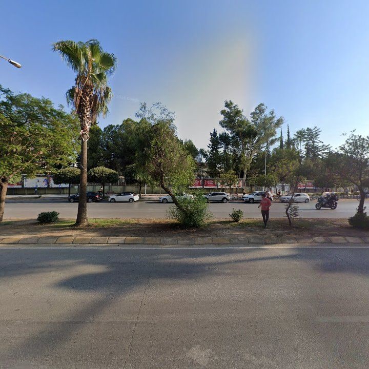 Fotoğraf 7
