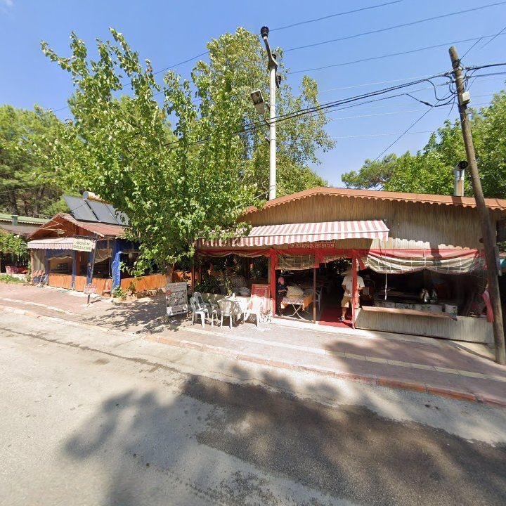 Fotoğraf 11