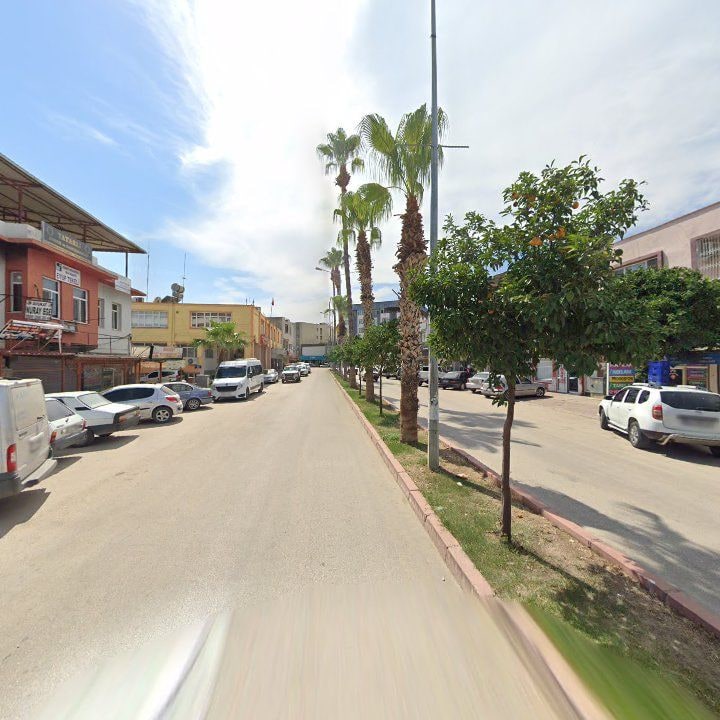 Fotoğraf 4