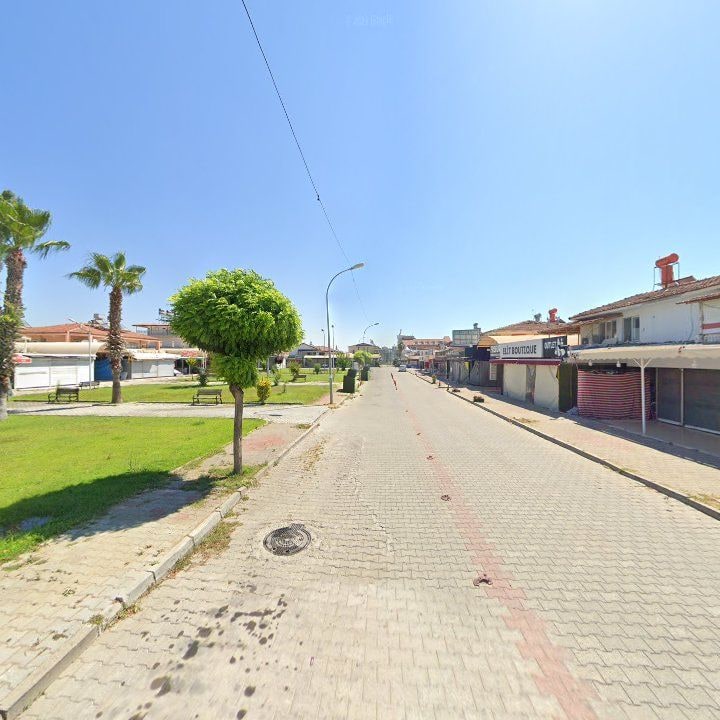 Fotoğraf 10