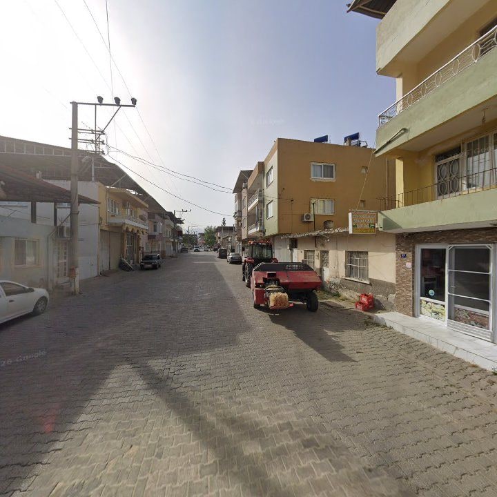 Fotoğraf 6