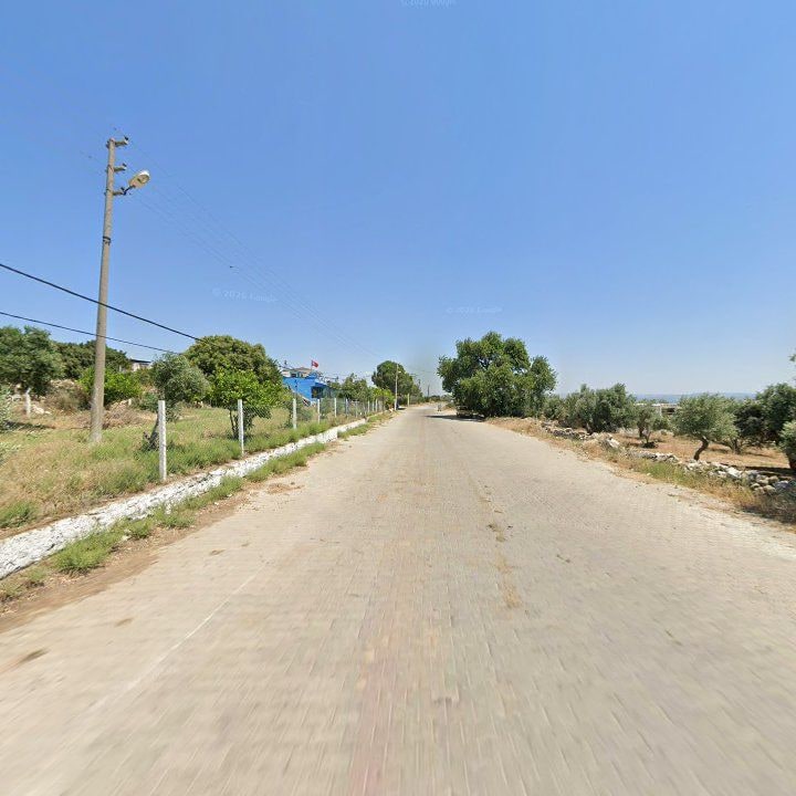 Fotoğraf 9