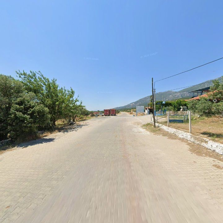 Fotoğraf 11