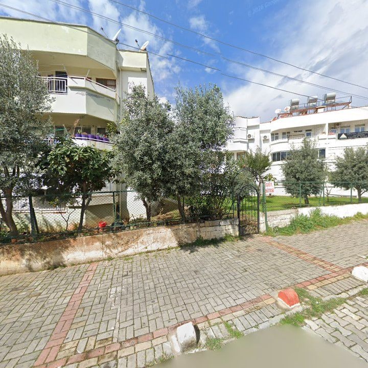 Fotoğraf 8