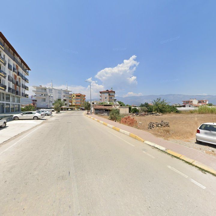 Fotoğraf 12