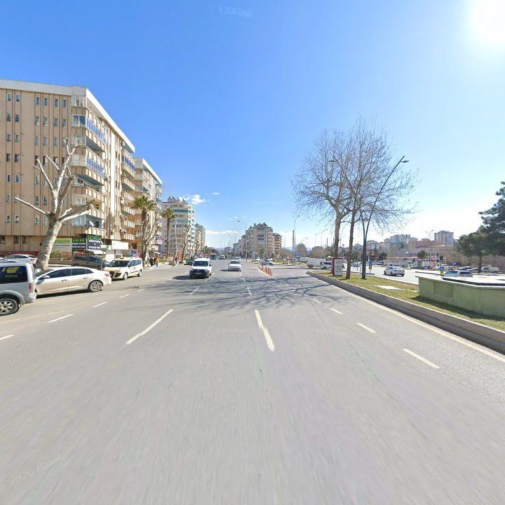Fotoğraf 8