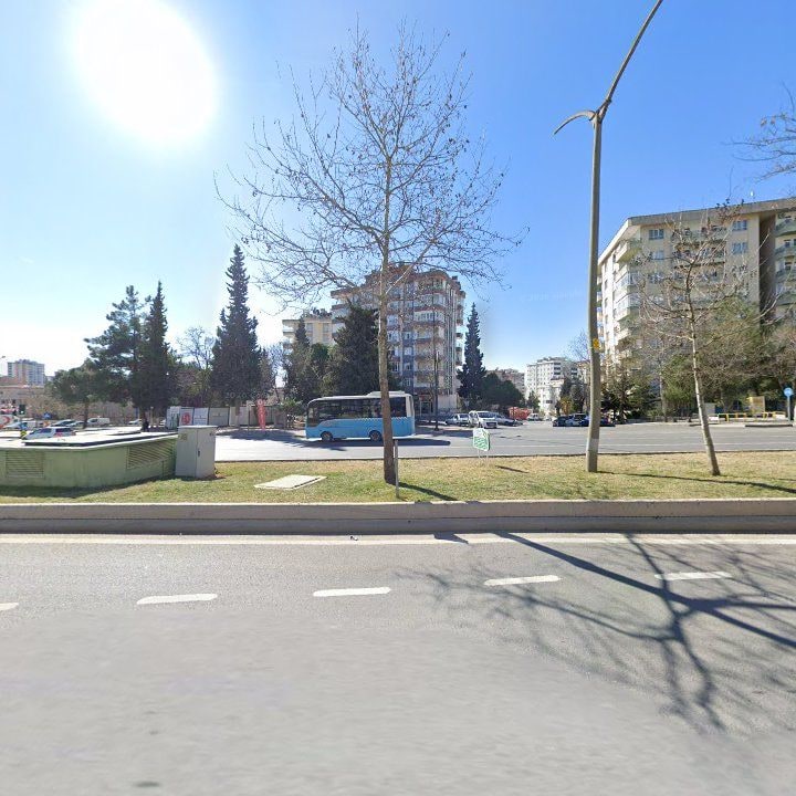 Fotoğraf 9