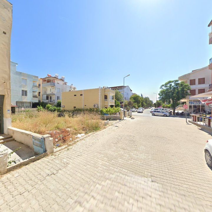 Fotoğraf 9