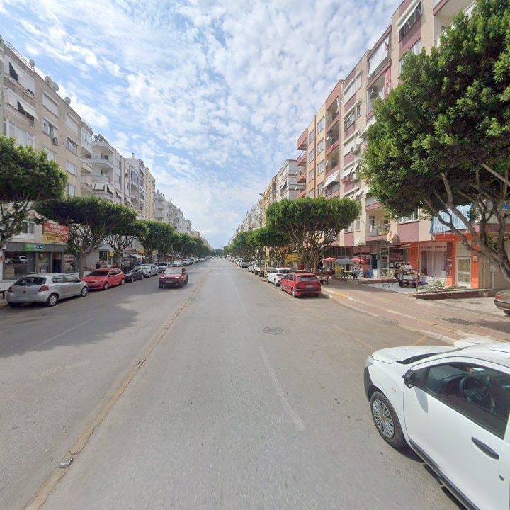 Fotoğraf 5