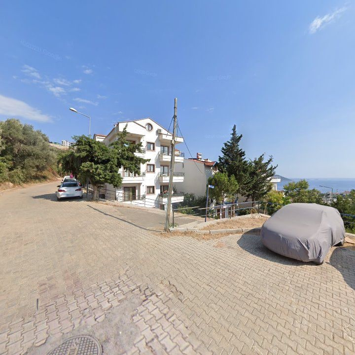 Fotoğraf 12