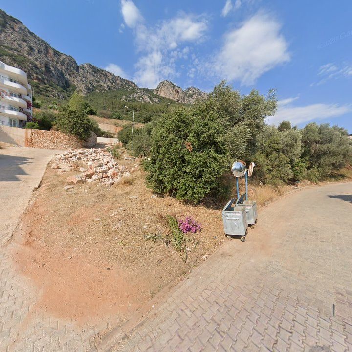 Fotoğraf 11