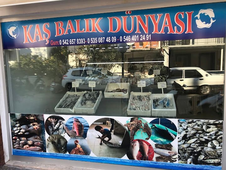Kaş Balık Dünyası