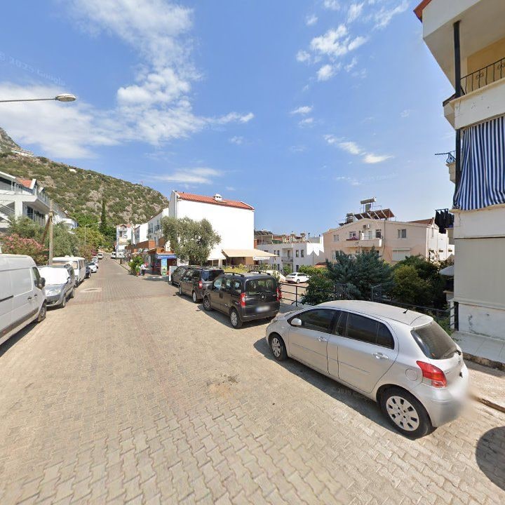 Fotoğraf 7