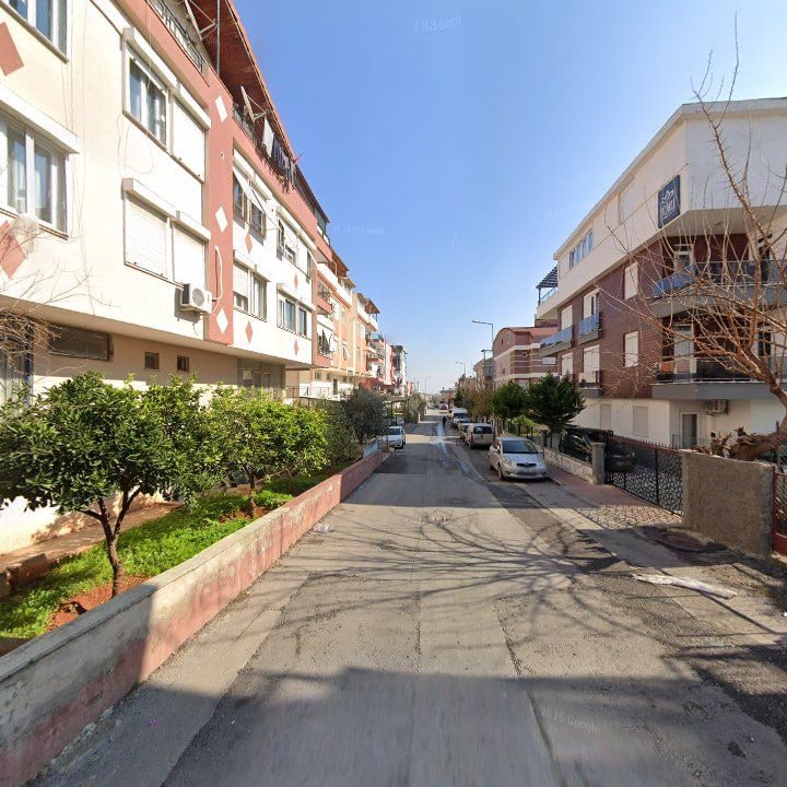 Fotoğraf 8