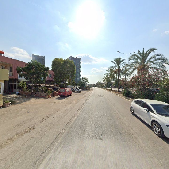 Fotoğraf 7