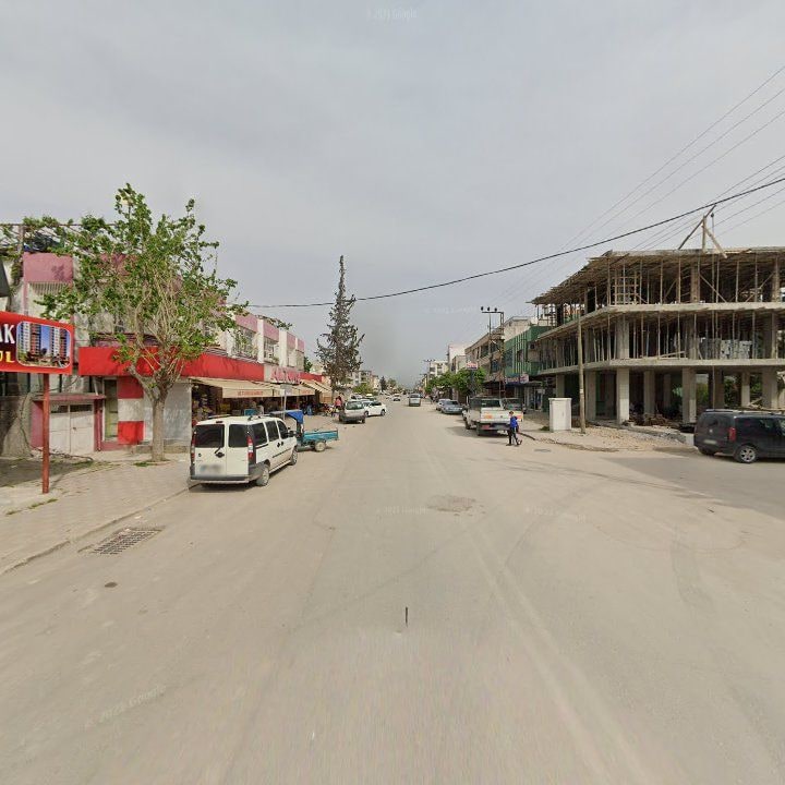 Fotoğraf 7
