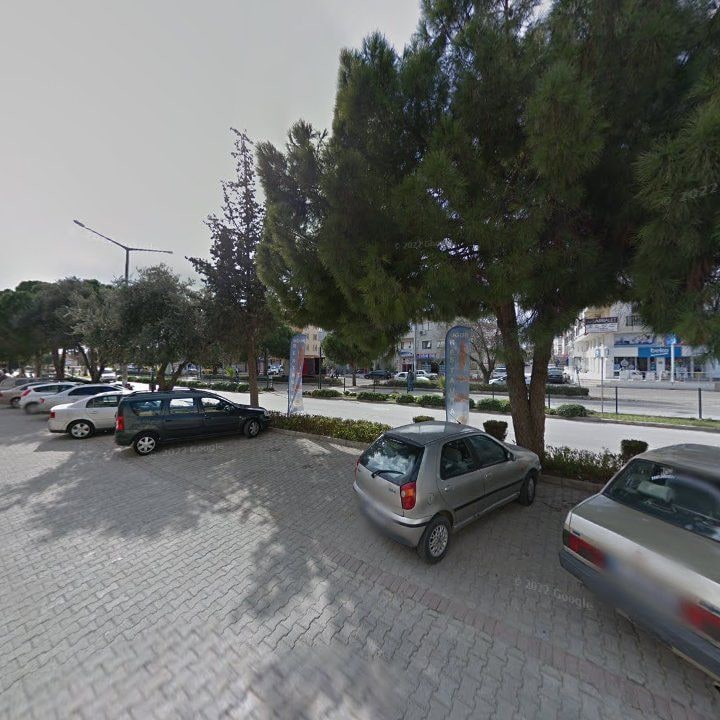 Fotoğraf 8