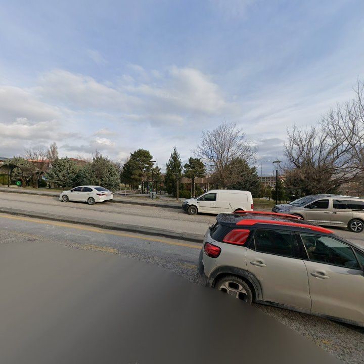 Fotoğraf 11