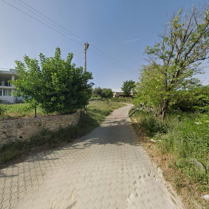 Fotoğraf 6