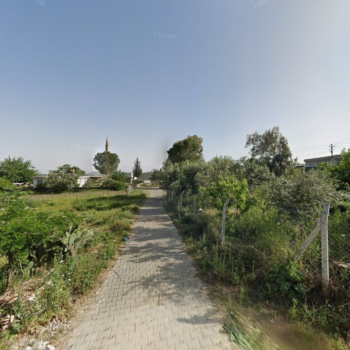 Fotoğraf 8