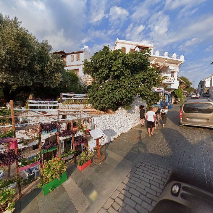 Fotoğraf 9