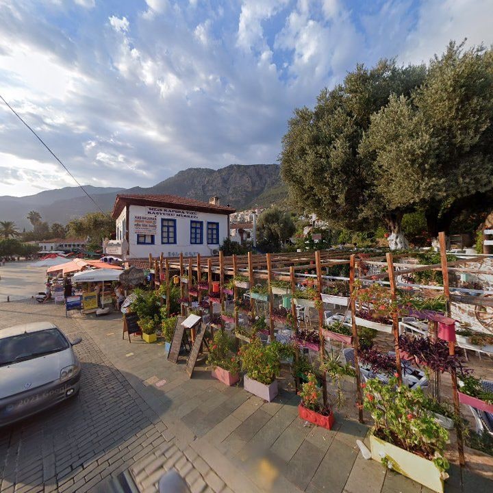 Fotoğraf 8