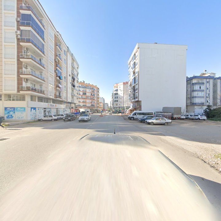 Fotoğraf 8